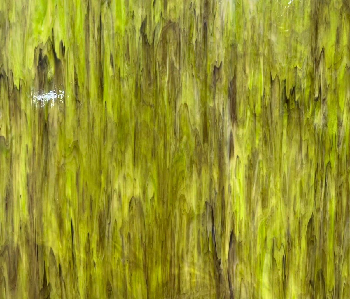 Moss/Amber/White O