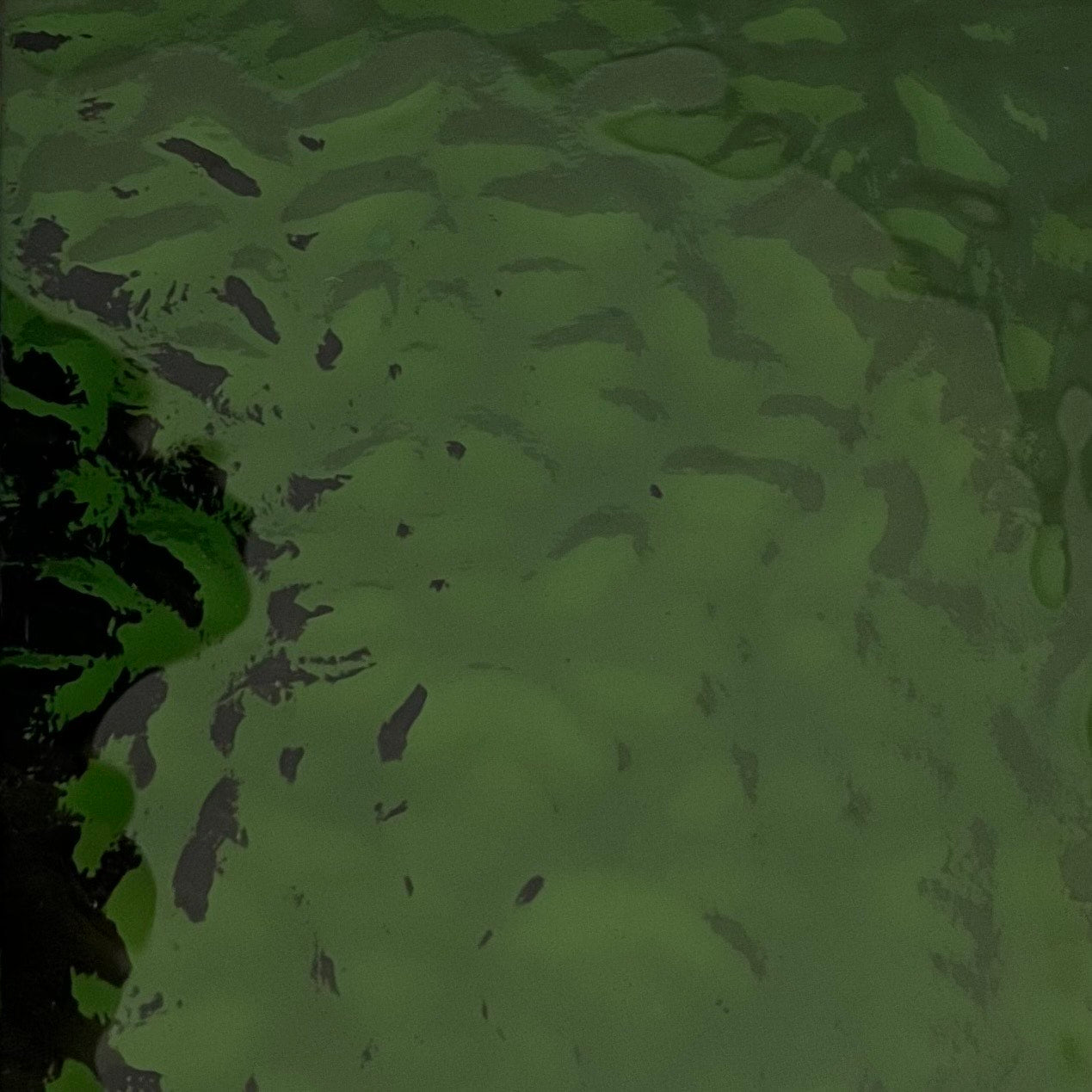 Green options
