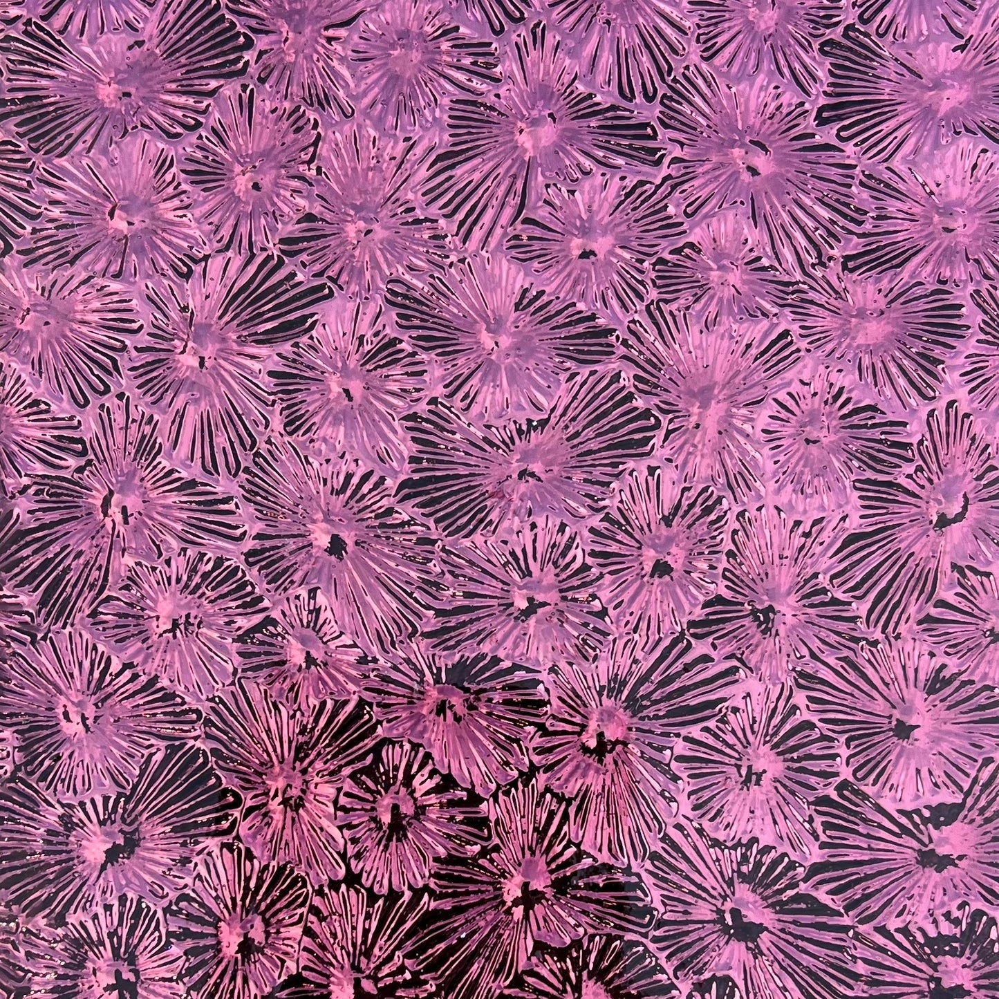 Pink/Purple/Champagne options