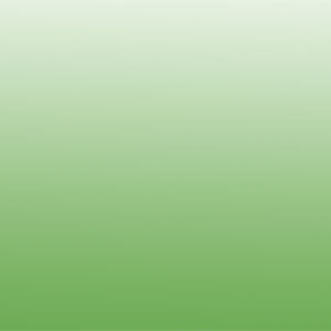 Reusche Enamels - Transparent