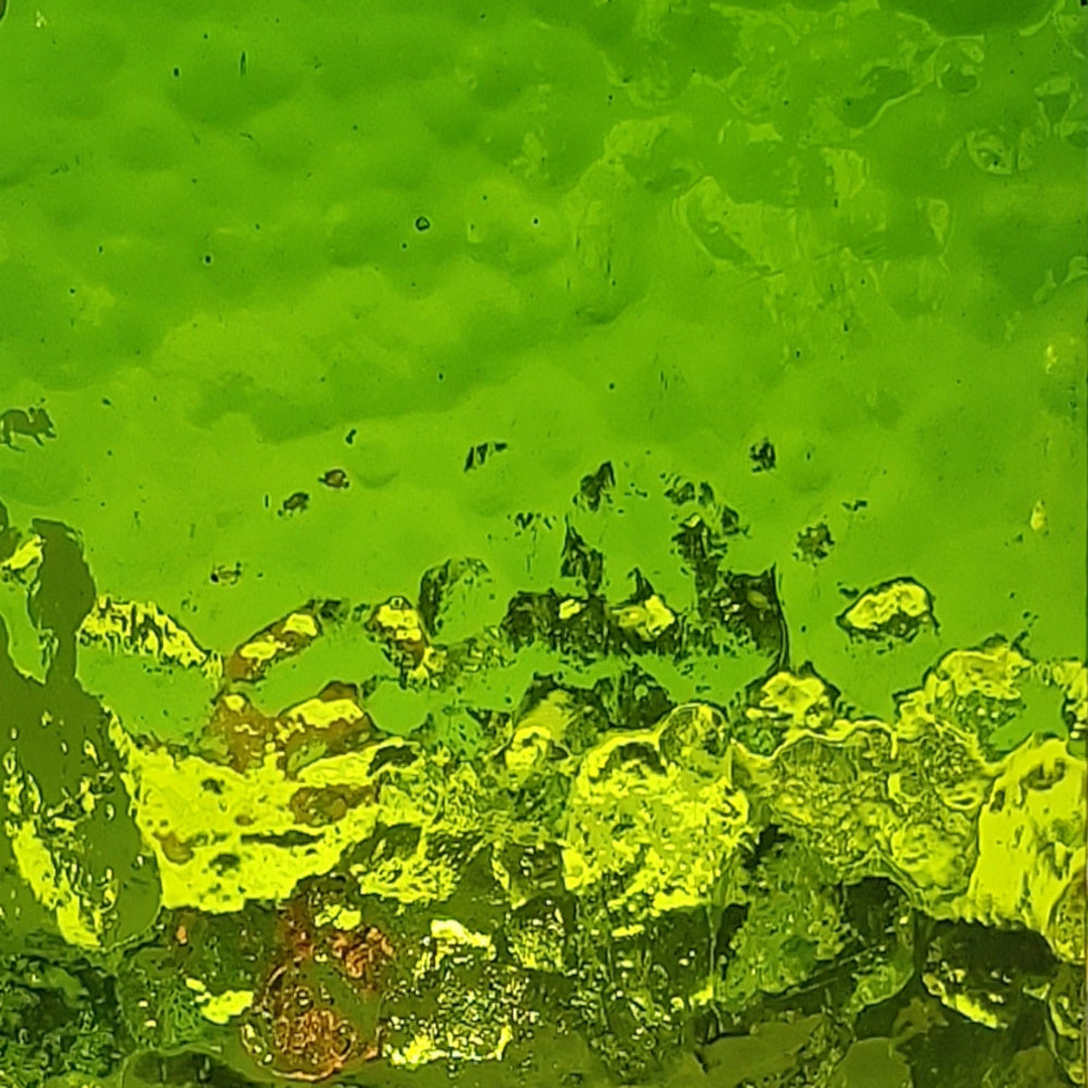 Medium Lime Corella Classic T