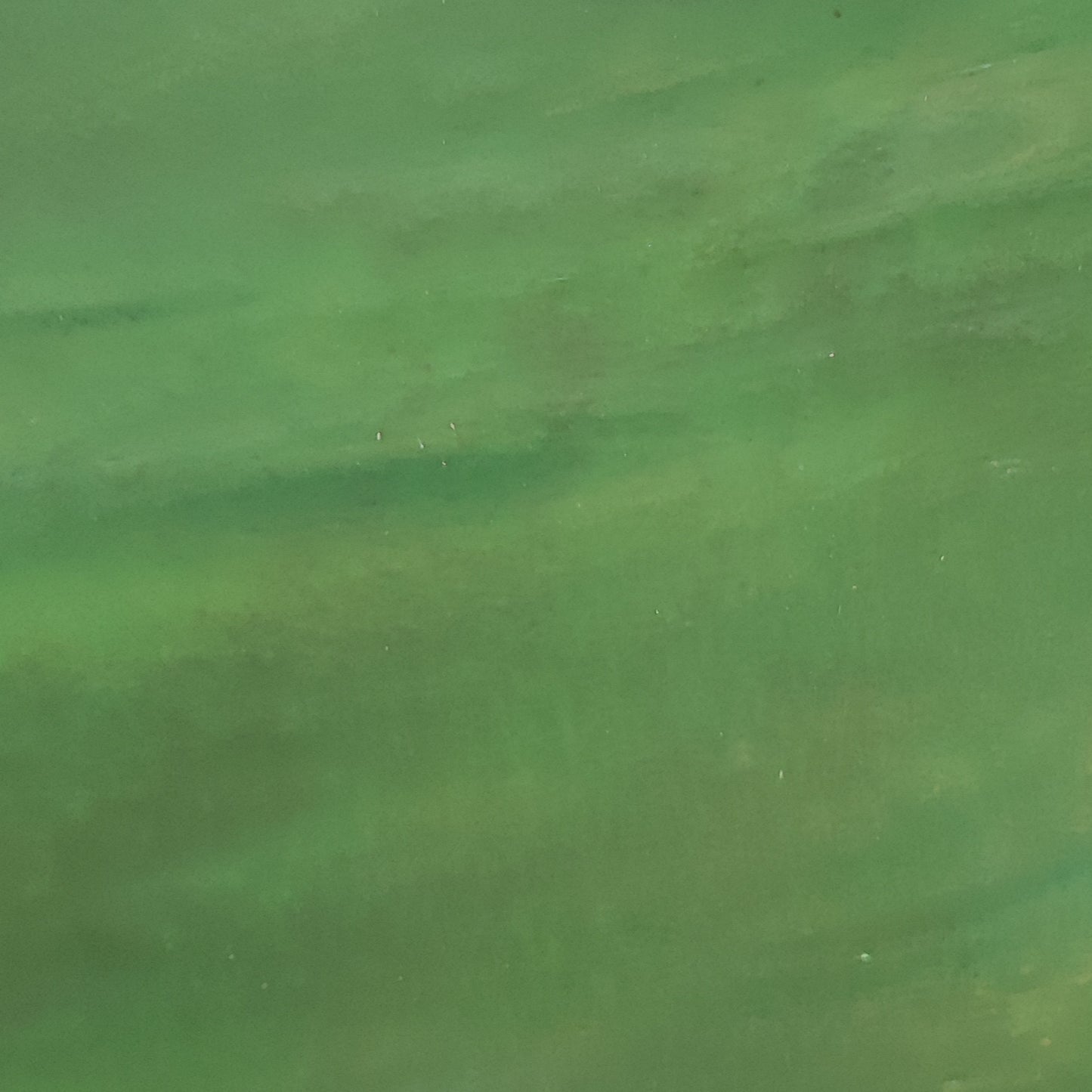 Lum White / Hunter Green O