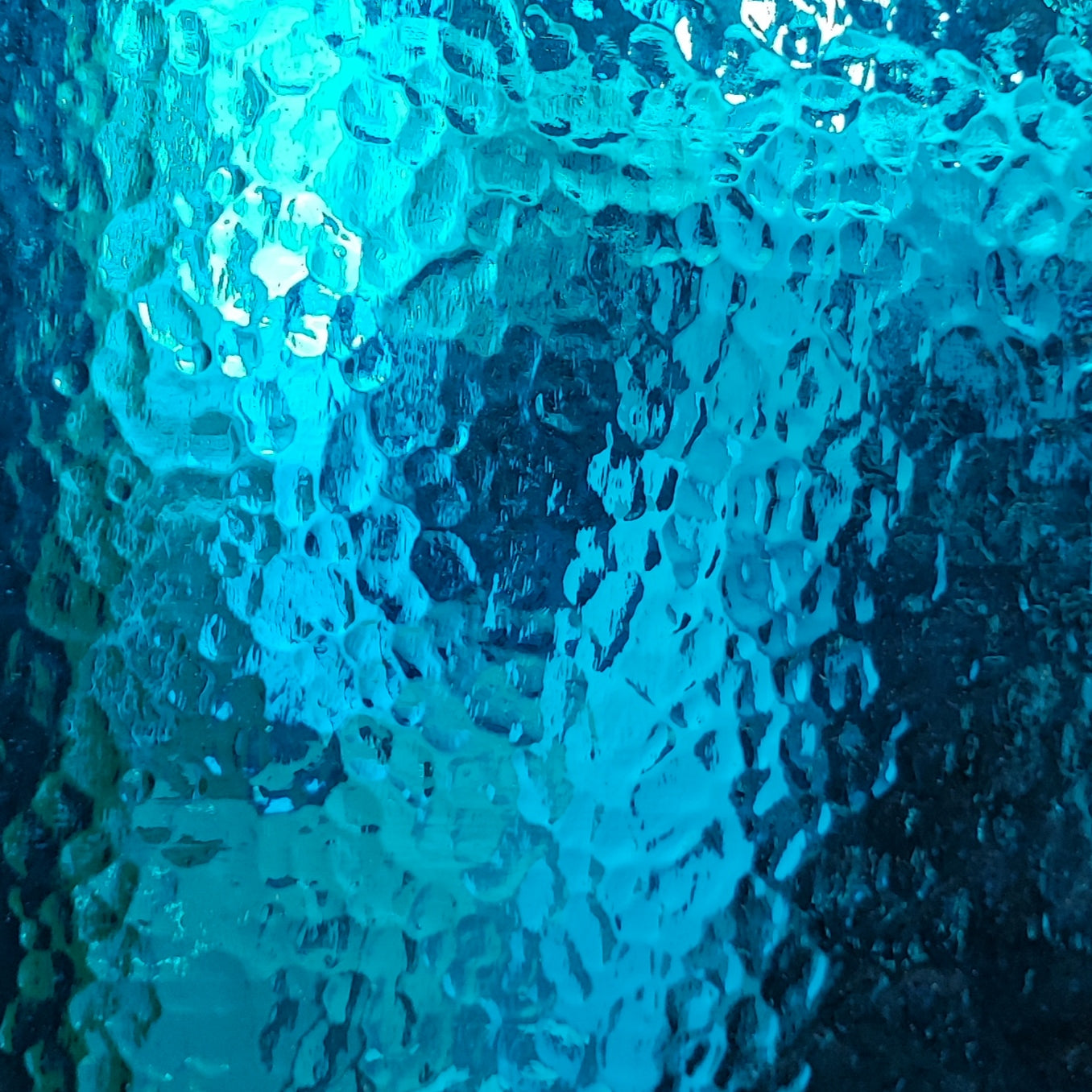 Copper Blue Corella Classic T