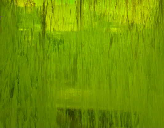 Green/White Wispy T