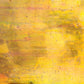 Orange Streaky Iridised T