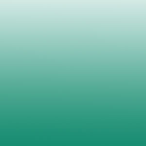 Reusche Enamels - Transparent