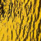 Amber options