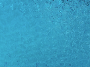 Tahitian Blue Florentine T