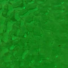 Glass Scrap Packs - Green T