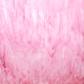 Rich Coral Pink / Wispy White O