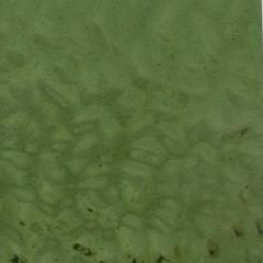 Sage Green English Muffle T