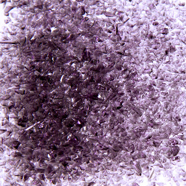 Grape Frit T