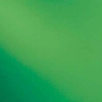 Light Green T