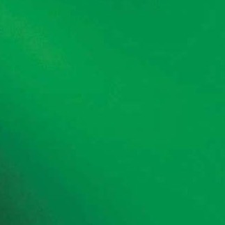 Medium Green T