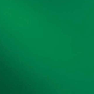 Dark Green T