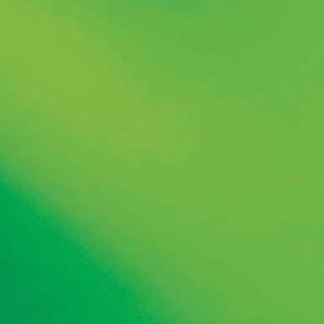 Moss Green T