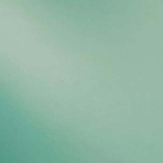 Sea Green T