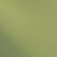 Light Olive Green T