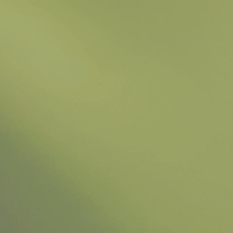 Light Olive Green T