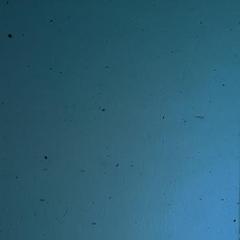 Steel Blue T