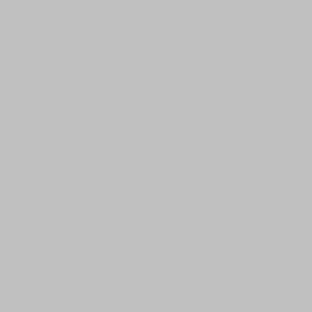 Grey Paint Pen - 60mL